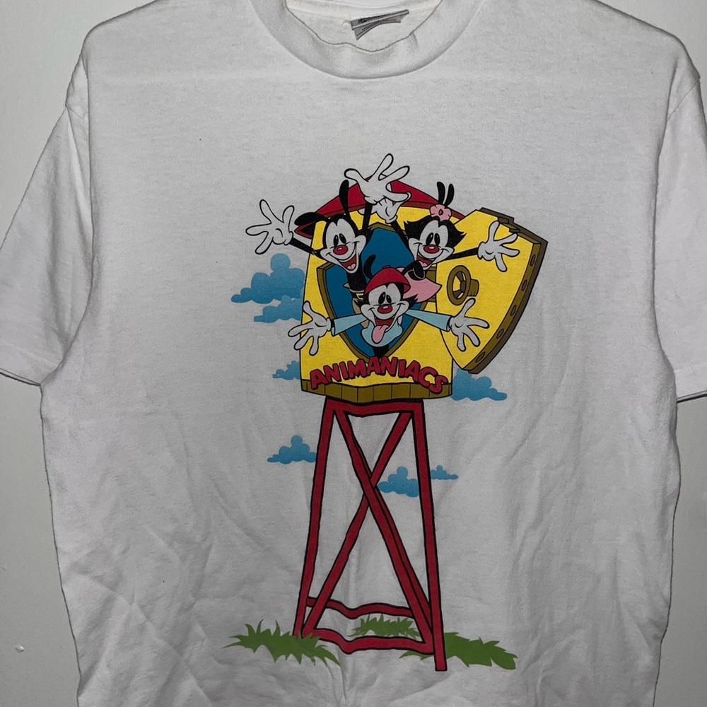 Vintage 1993 Animaniacs Warner Bros graphic tee, SIZE M